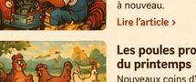 Les poules profitent du printemps